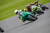 brands-hatch-photographs;brands-no-limits-trackday;cadwell-trackday-photographs;enduro-digital-images;event-digital-images;eventdigitalimages;no-limits-trackdays;peter-wileman-photography;racing-digital-images;trackday-digital-images;trackday-photos